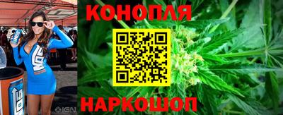 МДПВ Камышлов