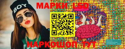 МДПВ Камышлов
