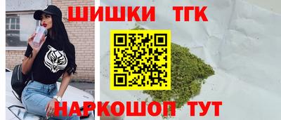 МДПВ Камышлов