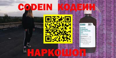 МДПВ Камышлов