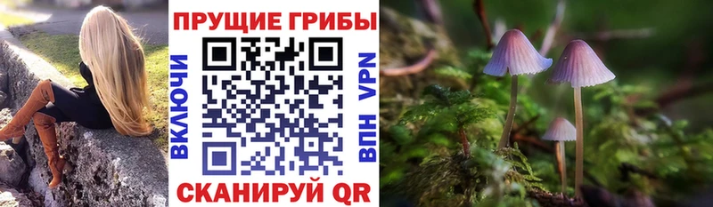 Галлюциногенные грибы Psilocybe  Партизанск 